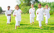 International team of tweens in white kimonos exercising new techniques during outdoors group taekwondo class on green lawn on summer day