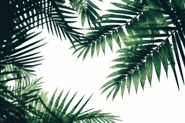 Poster - close-up view of a single palm tree leaf. Generative AI