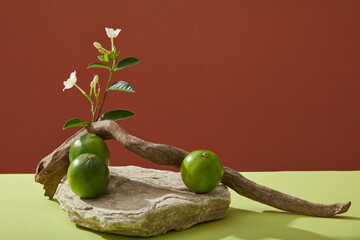 Wall Mural - Minimal concept for beauty products with lime ingredients presentation with stone podium, flower branch, dry twig and fresh lime decorated on color background. Front view, copy space