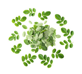 Moringa leaves on transparent png