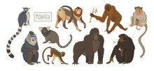 Set Of 9 Different Types Of Monkeys. Variety Of Primates, Mammals Animals. Images For Nature Reserves, Zoos And Children's Educational Paraphernalia. Vector Illustration. Isolated Objects.