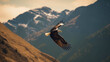 Alaska National Symbol : A Breathtaking 35mm Portrait of the Bald Eagle