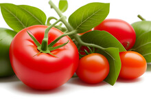 Bunch Of Fresh, Red Tomatoes With Green Stems Isolated On White Background. Well Separated From The Background.