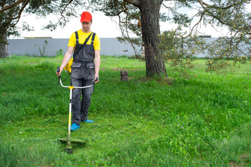 A male gardener mows the green grass of the lawn in the backyard with a gasoline mower. Trimmer for the care of a garden plot