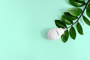 Wall Mural - creative idea of energy saving. creative top view flat lay of led light bulb, fresh leaves with copy