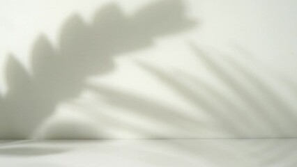 Poster - Tropical leaves background overlay. Natural shadow overlay for display product
