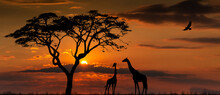 Silhouettes Of African Wild Animals At Sunset. Evening In African Savanna.
