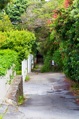  Paved walkway through a leafy neighborhood