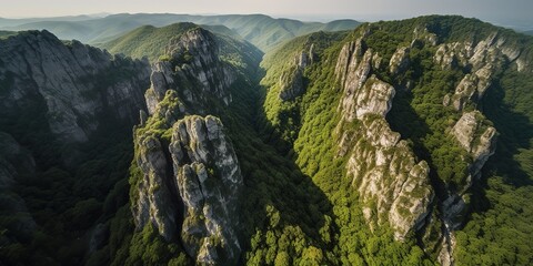 Fototapete - A view from a height of a mountain peak with green trees in the fog.Aerial view. Panoramic shot. Generative AI