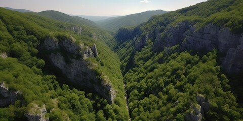 Poster - A view from a height of a mountain peak with green trees in the fog.Aerial view. Panoramic shot. Generative AI