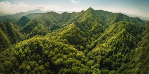 Poster - A view from a height of a mountain peak with green trees in the fog.Aerial view. Panoramic shot. Generative AI