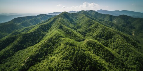 Fototapete - A view from a height of a mountain peak with green trees in the fog.Aerial view. Panoramic shot. Generative AI