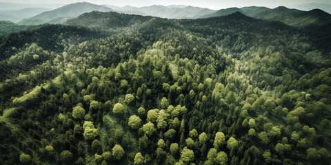 Aufkleber - A view from a height of a mountain peak with green trees in the fog.Aerial view. Panoramic shot. Generative AI