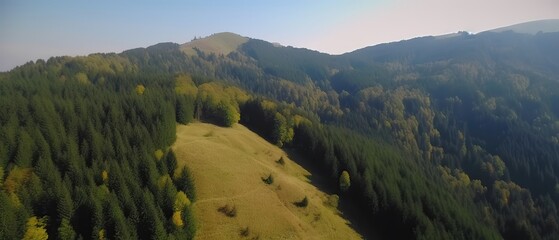 Fototapete - View from the height of the forest in the fog.Aerial view. Panoramic shot. Generative AI