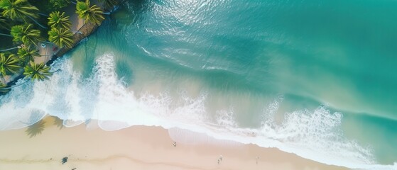 Poster - Top view of a beautiful tropical beach with sea waves.Aerial view. Panoramic shot. Generative AI