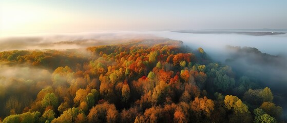 Poster - Beautiful bird's-eye view of the autumn forest.Aerial view. Panoramic shot. Generative AI