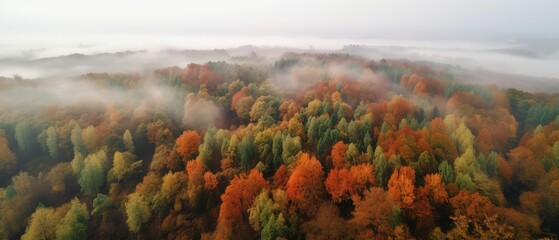 Poster - Beautiful bird's-eye view of the autumn forest.Aerial view. Panoramic shot. Generative AI