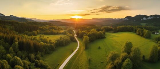 Poster - Bird's-eye view of the road in the middle of the forest.Aerial view. Panoramic shot. Generative AI