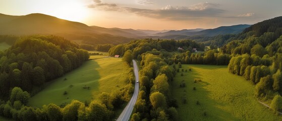 Poster - Bird's-eye view of the road in the middle of the forest.Aerial view. Panoramic shot. Generative AI