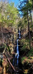 Vertical shot of the small waterfall flowing down from the mountains surrounded by trees and plants