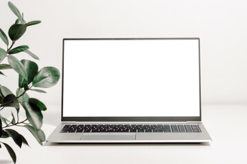 Laptop mockup on the table with green plant leaves. Laptop with white screen for study, home office, website promotion, business branding