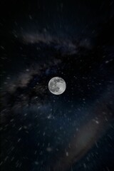 Wall Mural - Vertical shot of the full moon in the dark sky