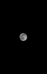 Wall Mural - Vertical shot of the full moon in the dark sky