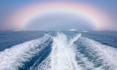 Wall Mural - fast moving motorboat trying to get out of the ice with rainbow in dense fog - stranded icebergs in 