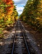 New Hampshire Scenic Railroad surrounded by autumn trees with orange leaves