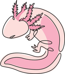 Poster - One continuous line drawing of cute axolotl for company logo identity. Water salamander mascot concept for pet lover club icon. Modern single line draw design graphic vector illustration