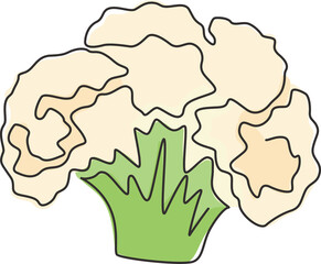 One single line drawing of whole healthy organic cauliflower for farm logo identity. Fresh brassica oleracea concept for vegetable icon. Modern continuous line draw design vector graphic illustration