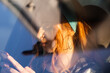 © Jovan - Portrait of a young adult woman illuminated by the sun