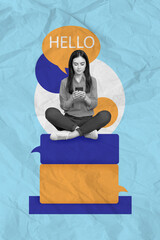Poster - Artwork magazine collage picture of smiling happy lady chatting instagram twitter telegram isolated drawing background