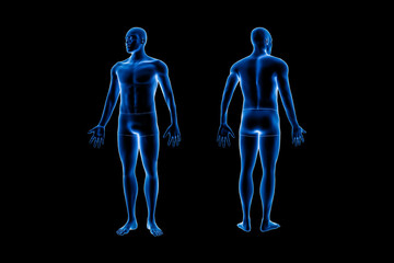 Wall Mural - front and back views of full human male body 3d rendering illustration isolated on black background 