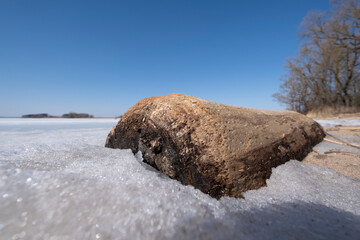 Wall Mural - frozen wooden log