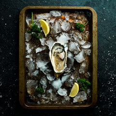 Wall Mural - Fresh oysters with lemon laid out on ice in a metal tray. On a black stone background. Top view.