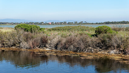 Canvas Print - Salt marshes in the Giens peninsula. French Riviera coast