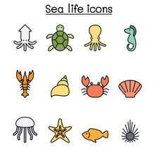 Sea Life Color Line Icon Set