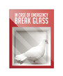 End this war now - peace symbol - white pigeon locked in a box with the inscription in case of emergency break the glass - concept graphic