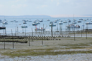 Wall Mural - France, oyster farming on the coast of l Herbe