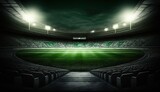 Fototapeta Sport - stadium evening match on the green grass field, Generative AI