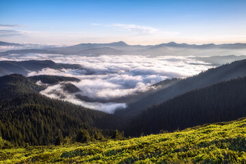 Wall Mural - Mountains landscape. Foggy morning. Fields and meadow are covered with morning fog. Forest of the pine trees. Natural scenery.