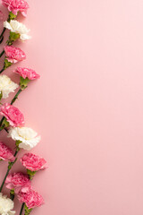 Wall Mural - Mother's Day gift idea concept. Top vertical view flat lay of charming pink carnation flowers on a pastel pink background with empty space