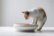 A charming, side-profile image of a cat attentively eating from a stylish, food dish, elegant posture of the feline, set against a white background.