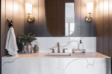 Wall Mural - interior with sink