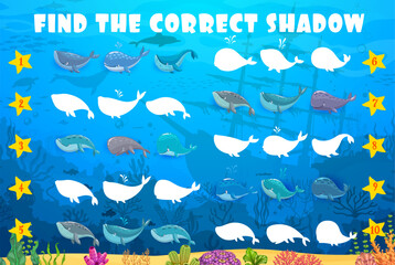 Poster - Find the correct shadow of whale, cachalot and sperm whale cartoon characters, underwater landscape. Kids vector matching game, riddle worksheet with aquatic animals in ocean seascape with sunken ship