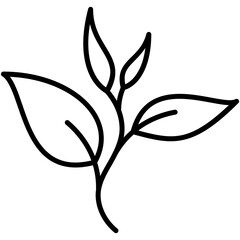 green tea icon, line icon style, nature tea leaves symbol vector stock.