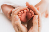 Fototapeta  - Mother's hands holding baby feet