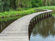 Wooden Trail Over Pond In Hong Kong Wetland Park