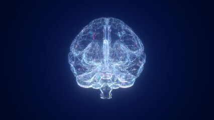 Wall Mural - Blue technology brain, particle lines brain rotation, medical science experiments, holographic projection.